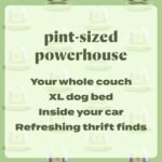 BISSELL Little Green Mini Portable Carpet and Upholstery Deep Cleaner, Car/Auto Detailer, with HydroRinse Self-Cleaning Tool and 4" Tough Stain Tool, Tea Green, 4075 - Image 5